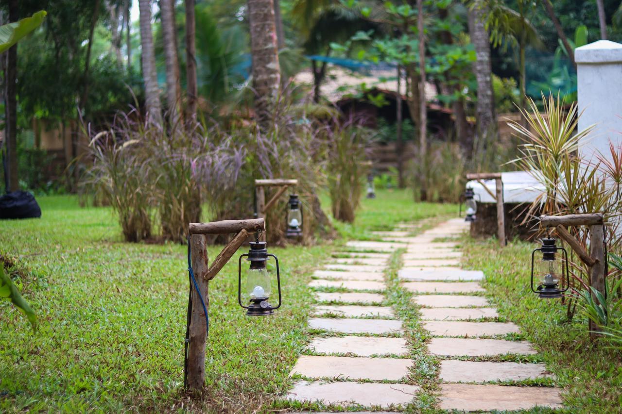 Mandrem Village Resort Buitenkant foto