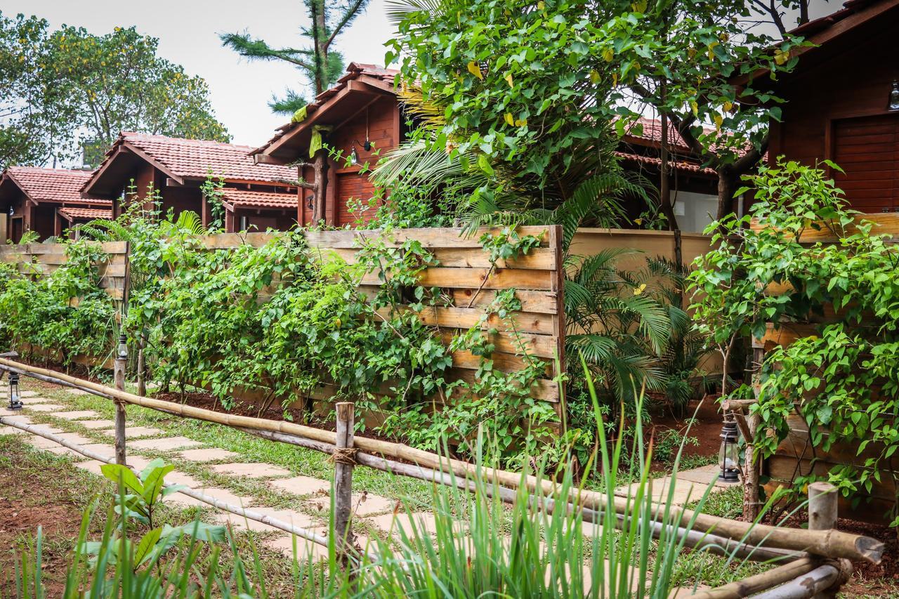 Mandrem Village Resort Buitenkant foto
